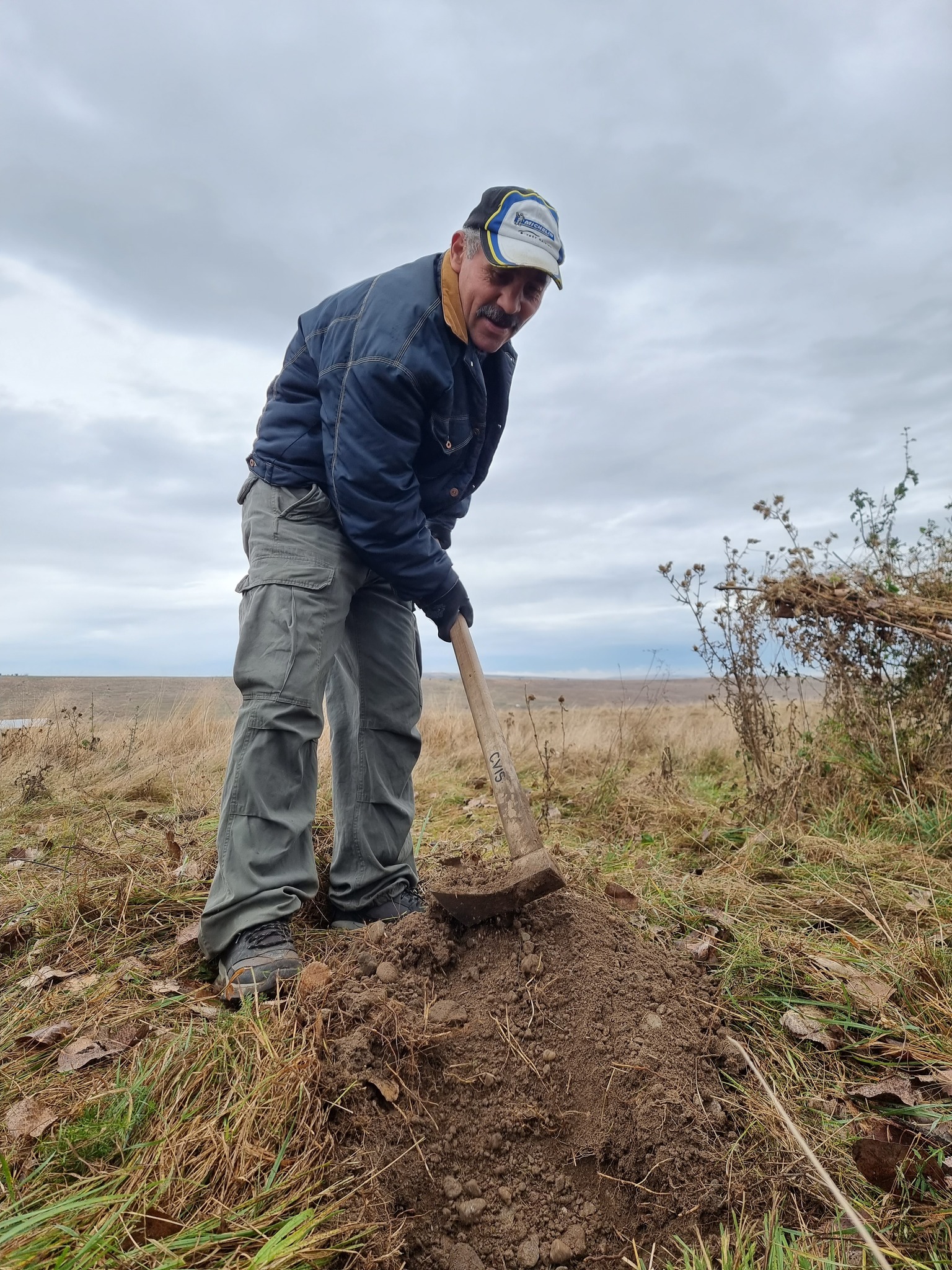 Plantare Ocna Sibiului 12